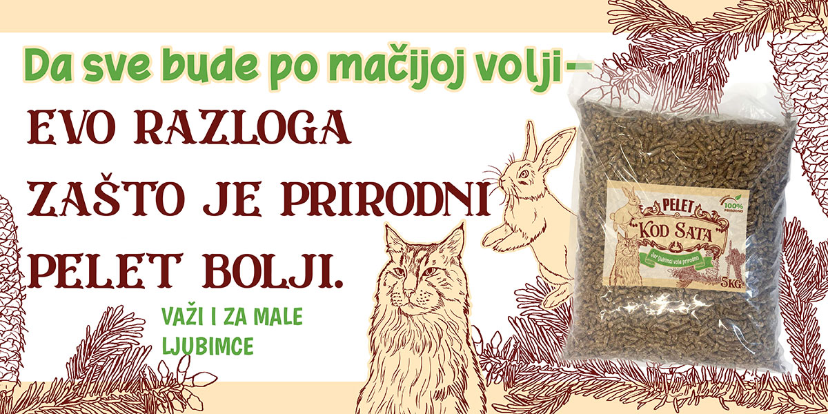 Da sve bude po mačijoj volji – zašto je prirodni drveni pelet posip od drugih bolji