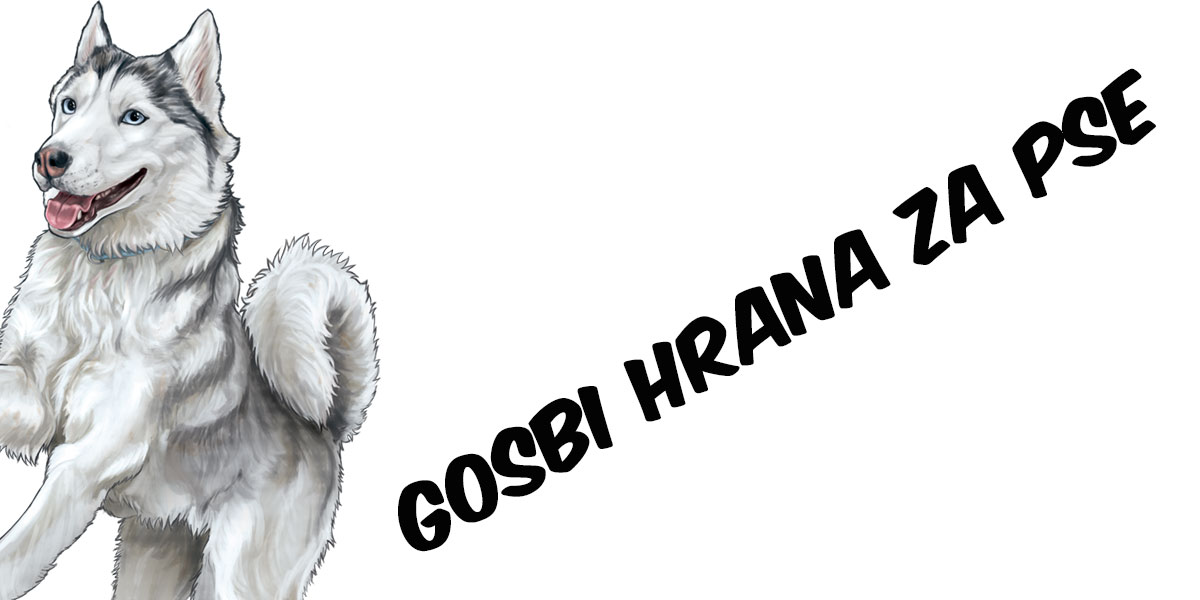 Gosbi hrana za pse