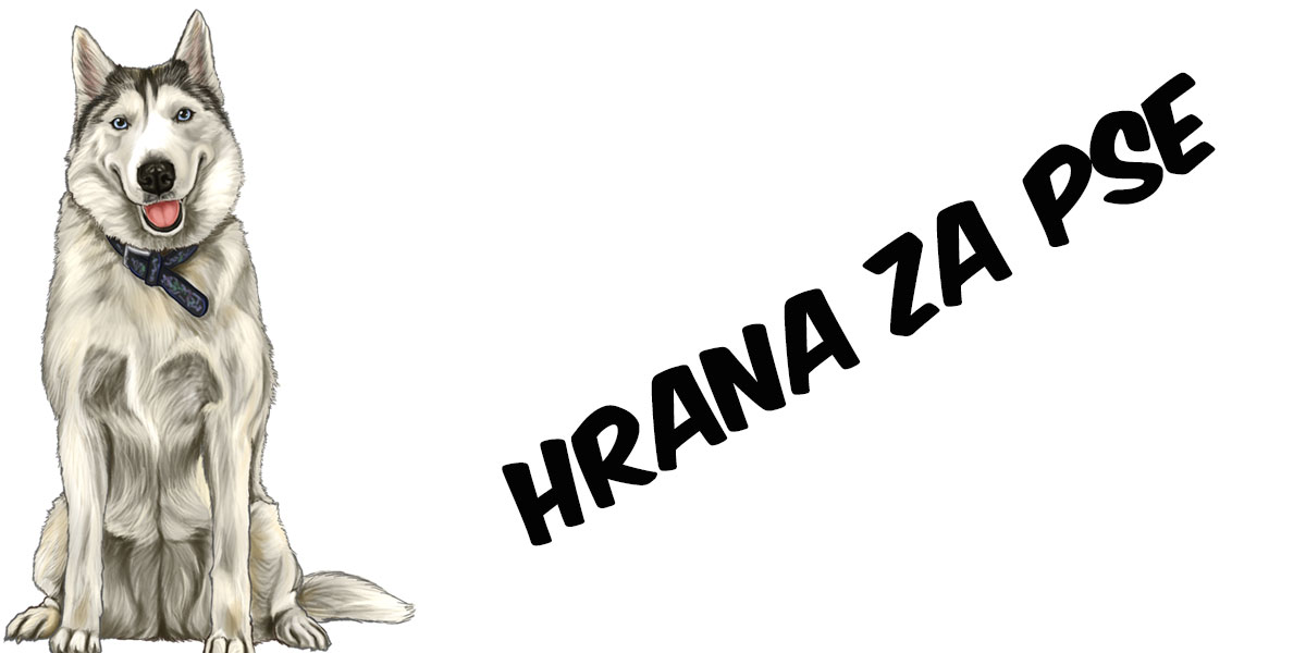 Hrana za pse