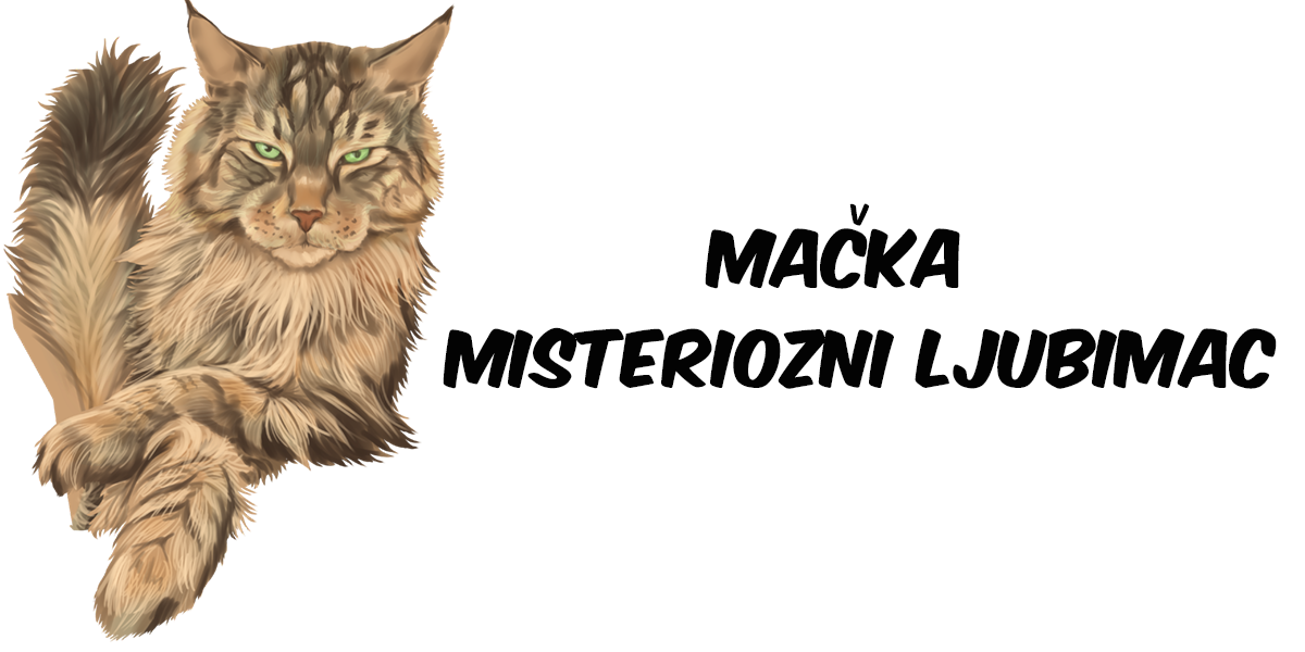 Mačka - Misteriozni ljubimac