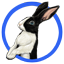 psi