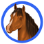 psi