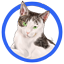 psi
