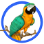 psi